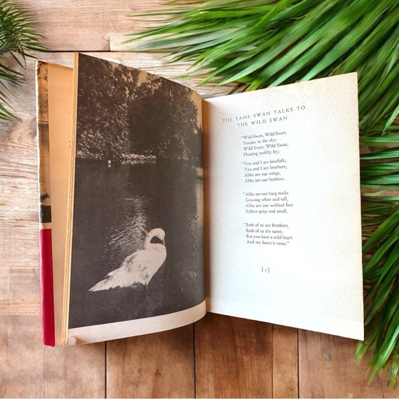 Vintage Poems for Josephine by Kathryn Worth - Signed First Edition - Picture 8 of 11